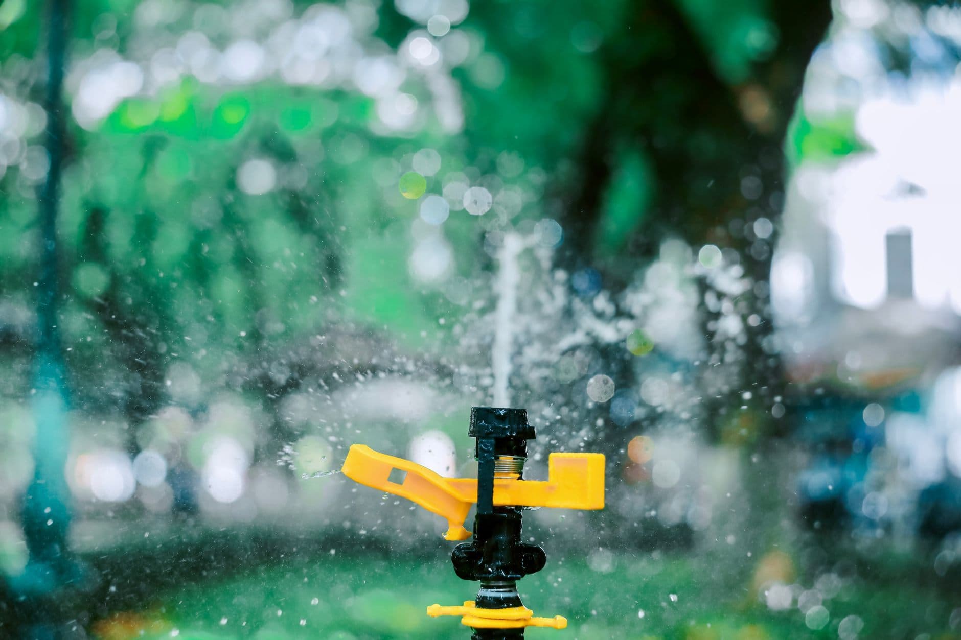A garden sprinkler head spraying water, with foliage out of focus behind it.